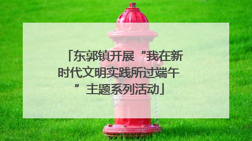 东郭镇开展“我在新时代文明实践所过端午”主题系列活动